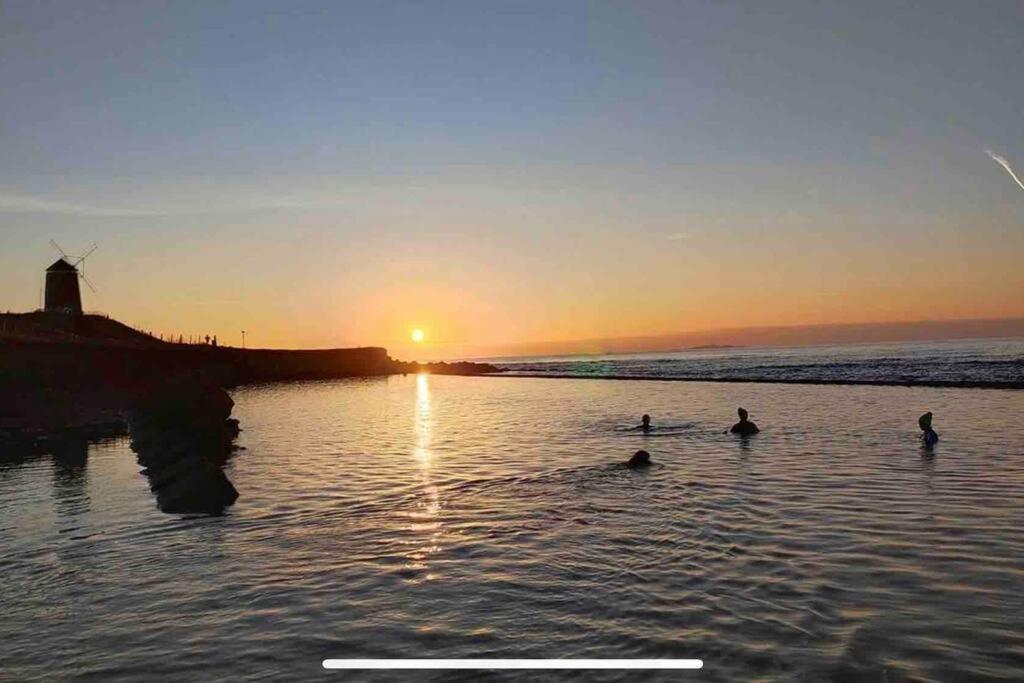 No3 By The Sea A 5 Star Cozy Coastal Cottage Saint Monance 외부 사진